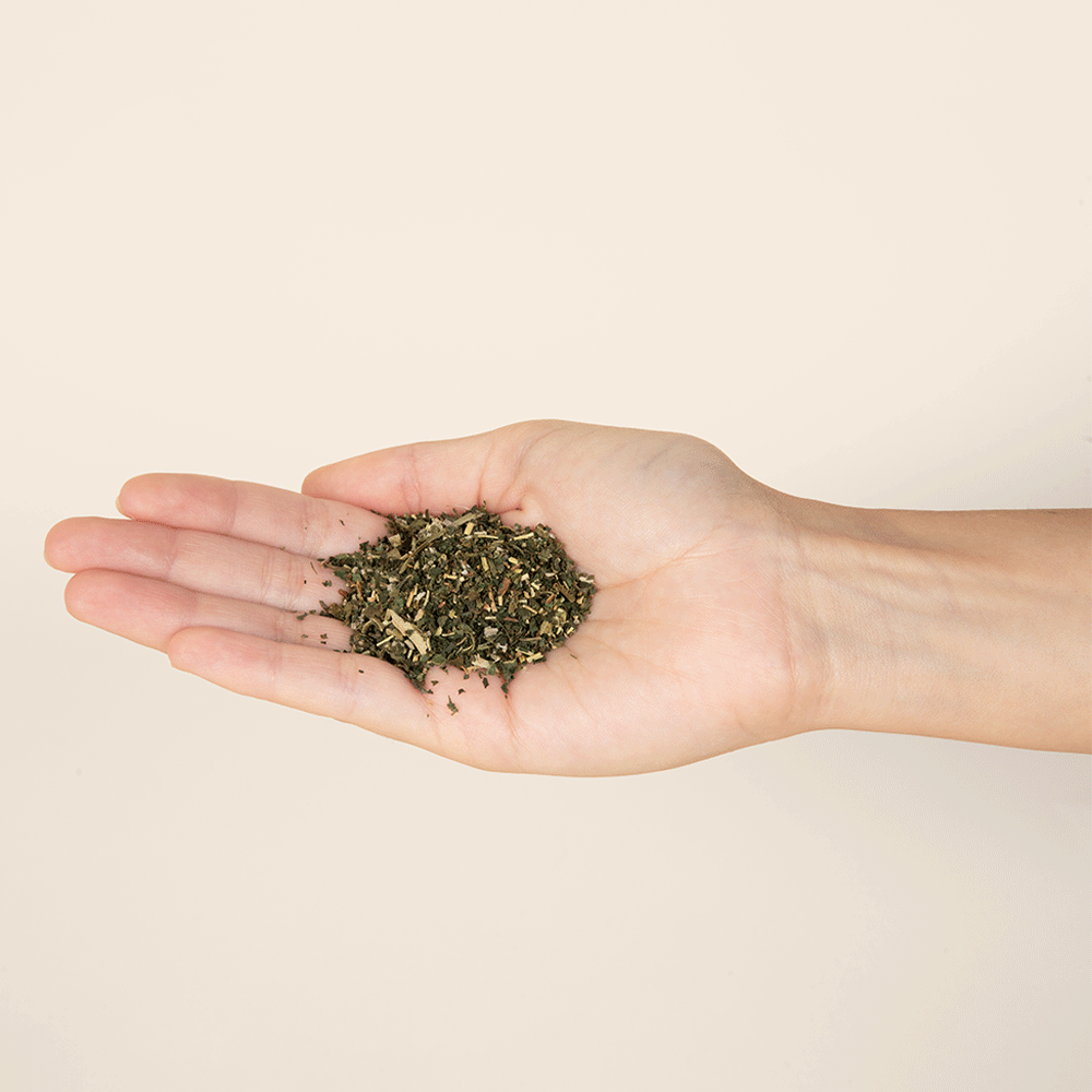 Bounce Curl Botanical Tea for Hair, Skin & Well Being