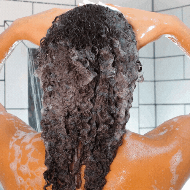 Bounce Curl Pure Silk Moisturizing Shampoo 238ml